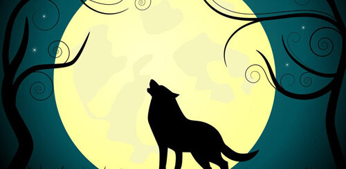 sagunam innum iliyavillai