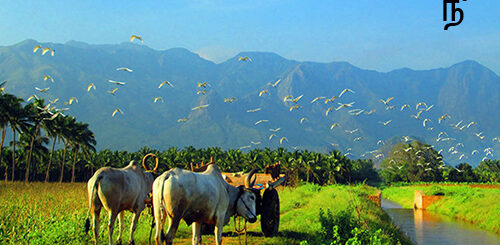 naan vaazhntha sorkka boomi