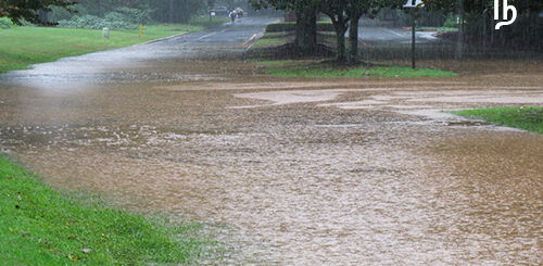 saalaiyoda neer thekkamaaga