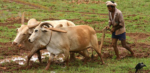 pongal vaazhthu uzhavan kavithai