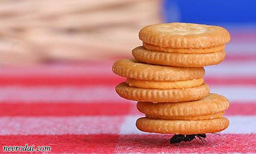 poraadu vetri aruvi un kaaladiyil