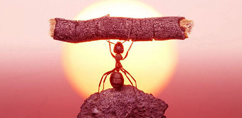 un uzhaippai ulagam izhanthu vida koodaathu