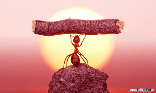 un uzhaippai ulagam izhanthu vida koodaathu