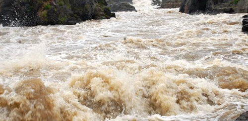 thanneer kodu thaagam edukkirathu