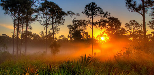 santharpathil arthapaduthadi jenmangal