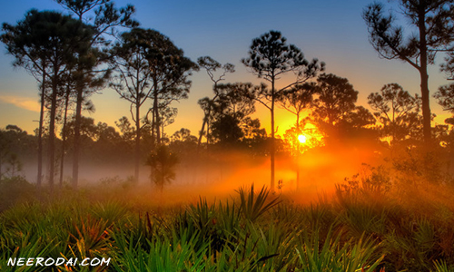 santharpathil arthapaduthadi jenmangal
