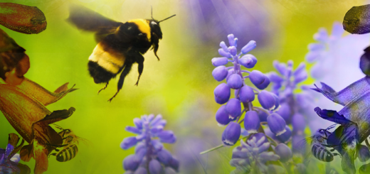 kathai ootru vannathu poochi kaathal