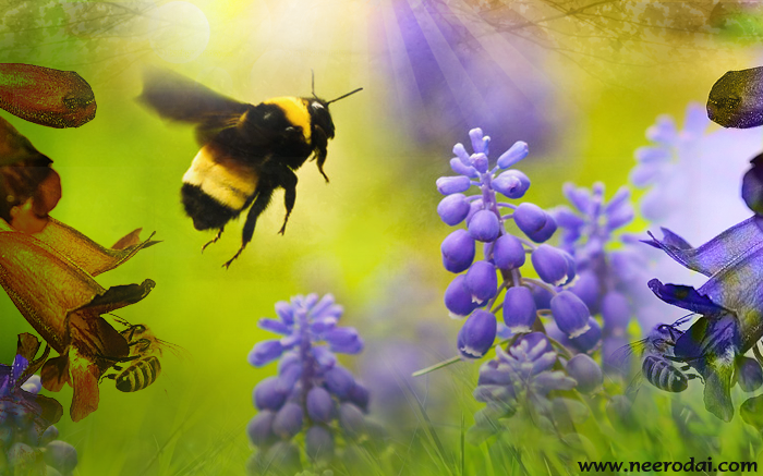 kathai ootru vannathu poochi kaathal