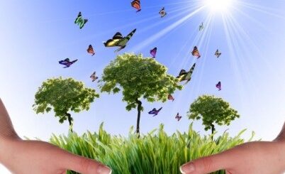 about environmental care
