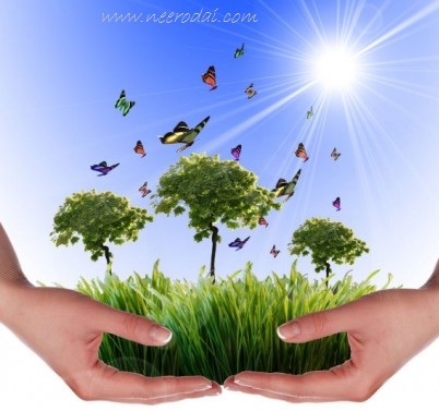 about environmental care