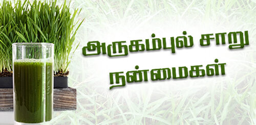 arukampul saaru nanmaigal benefits arugalpul
