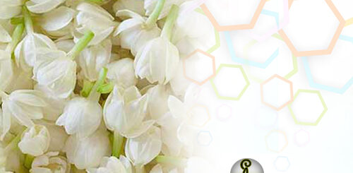 jasmine benefits