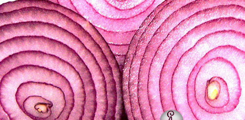 vengaayam oru sirantha marunthu