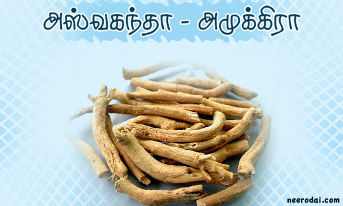 viagra natural alternatives ashwagandha