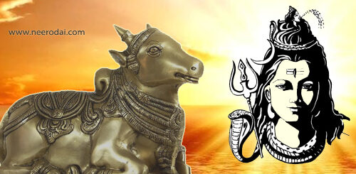 pradosham palangal mantram tamil