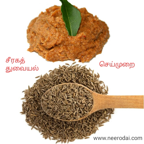 jeera chutni seeraga thuvaiyal