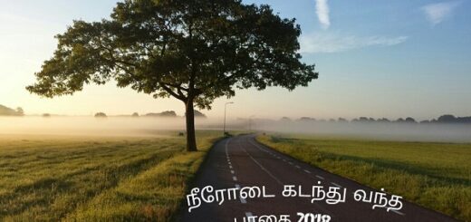 neerodai kadanthu vantha paathai 2018