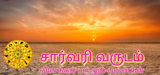 saarvari varudam