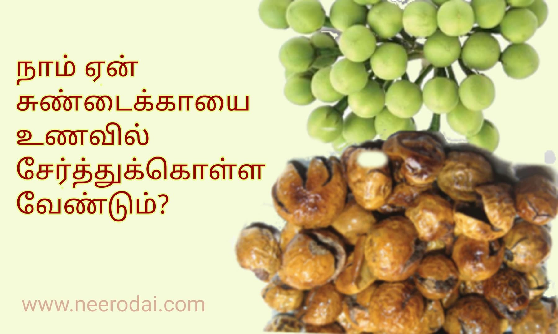 sundakkai vathal benefits