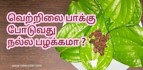 vetrilai pakku milagu