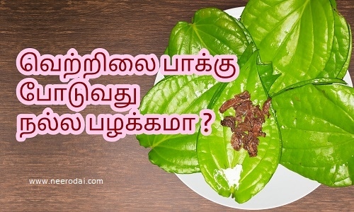 vetrilai pakku milagu