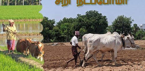 seeri nadapona kavithai