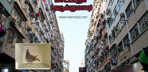 adukumadi madapura kavithai