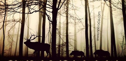 innum konja neram iruntha thaan enna