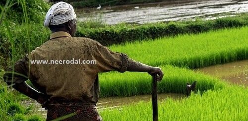 uzhavan em thalaivan